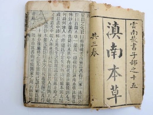 國博閃“藥”，探秘昆中藥瑰寶 | 滇南本草